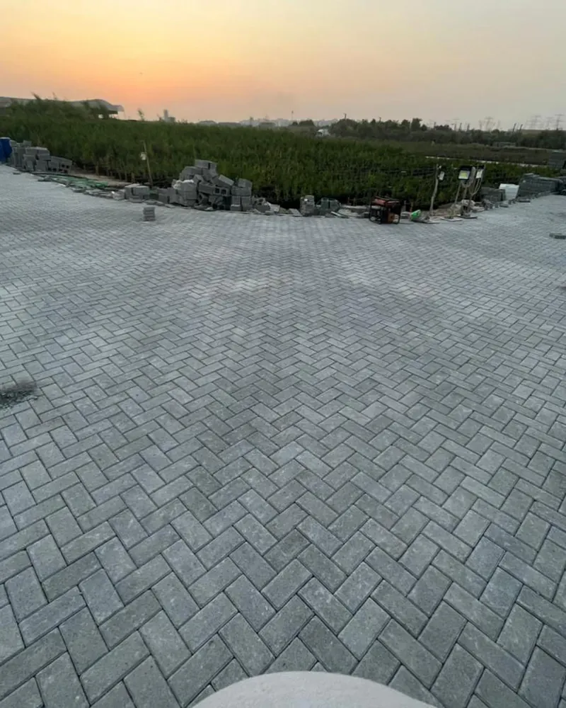 Interlock paving — nursery, Al Warsan — site photo 6